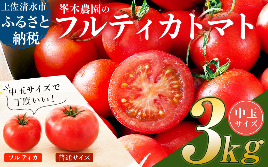 【11月発送】トマト魂！峯本の贅沢フルティカトマト（中玉サイズ）3kg 3キロ 　ミディトマト  トマト ふるさと納税 フルティカ とまと サラダ 野菜 美味しい【R01038】