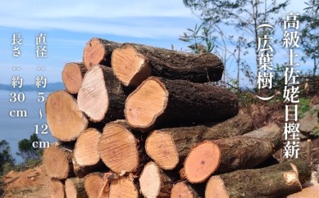 【先行予約：令和8年2月以降順次発送予定】ウバメガシの薪1箱（18kg 長さ約30cm）うばめがし アウトドア キャンプ ストーブ 暖炉 災害備蓄 防災グッズ 薪ストーブ 囲炉裏 窯 バーベキュー BBQ 木材 燃料 自然保護【R01049】