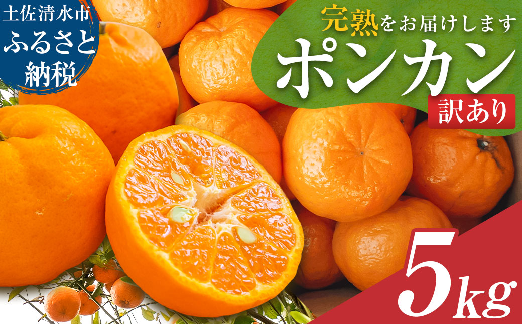【令和８年1月下旬以降発送】＜訳あり＞ぽんかん５kg（オレンジ園） デコポンの親 みかん ミカン 果物 果実 柑橘 フルーツ ポンカン でこぽん おやつ デザート 甘い 美味しい 家庭用 名物 国産【R01080】