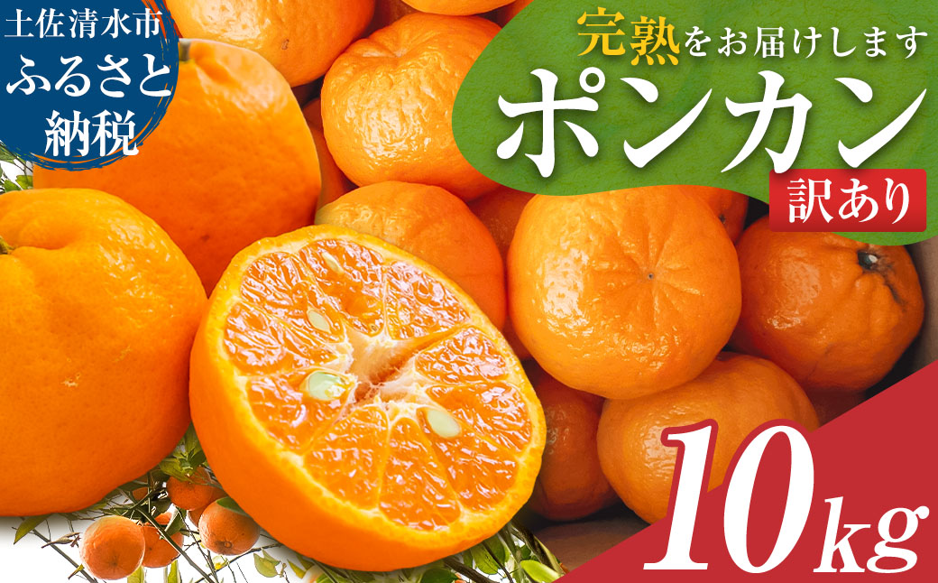【令和８年発送】＜訳あり＞ぽんかん10kg（オレンジ園）10キロ  デコポンの親 みかん ミカン 果物 果実 柑橘 フルーツ おやつ デザート ジューシー 甘い 美味しい 健康 家庭用 国産【R01081】
