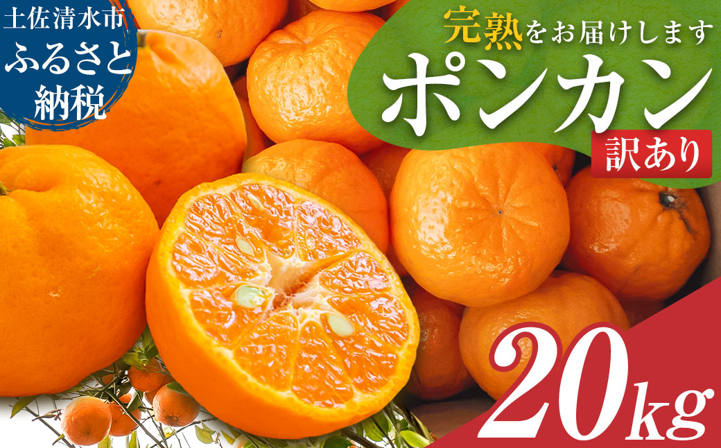 【令和８年発送】＜訳あり＞ ぽんかん20kg（オレンジ園） デコポンの親 みかん ミカン 果物 果実 柑橘 フルーツ ポンカン でこぽん おやつ デザート 甘い 美味しい 家庭用 名物 国産【R01082】