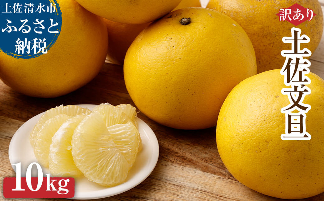 【令和８年発送】＜訳あり＞オレンジ園の土佐文旦10kg 柑橘 フルーツ みかん ザボン ぶんたん 【R01086】