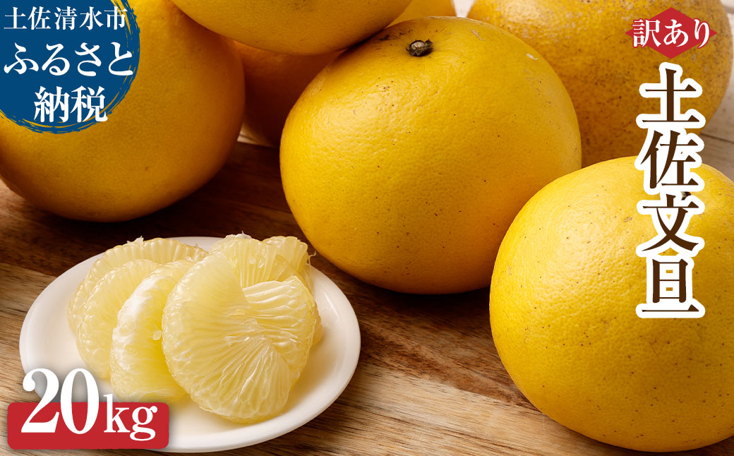 【令和８年発送】＜訳あり＞オレンジ園の土佐文旦20kg 柑橘 フルーツ みかん ザボン ぶんたん 【R01087】