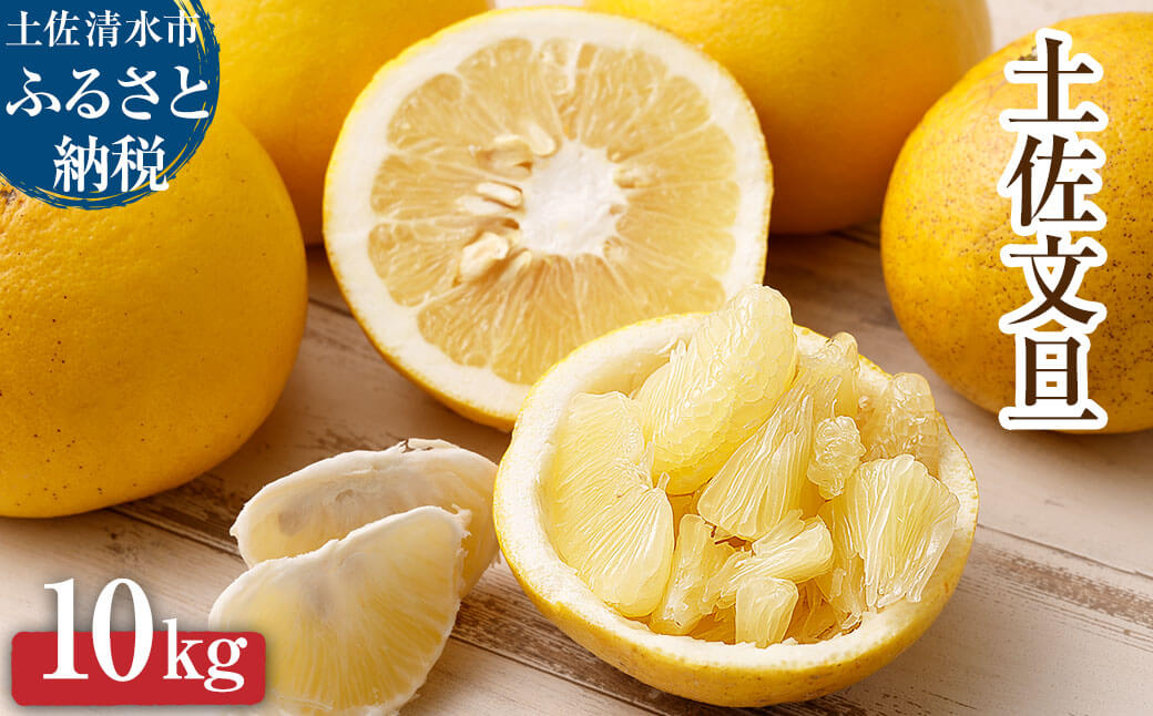 【令和８年発送】オレンジ園の土佐文旦10kg 柑橘 フルーツ みかん ザボン ぶんたん 【R01089】