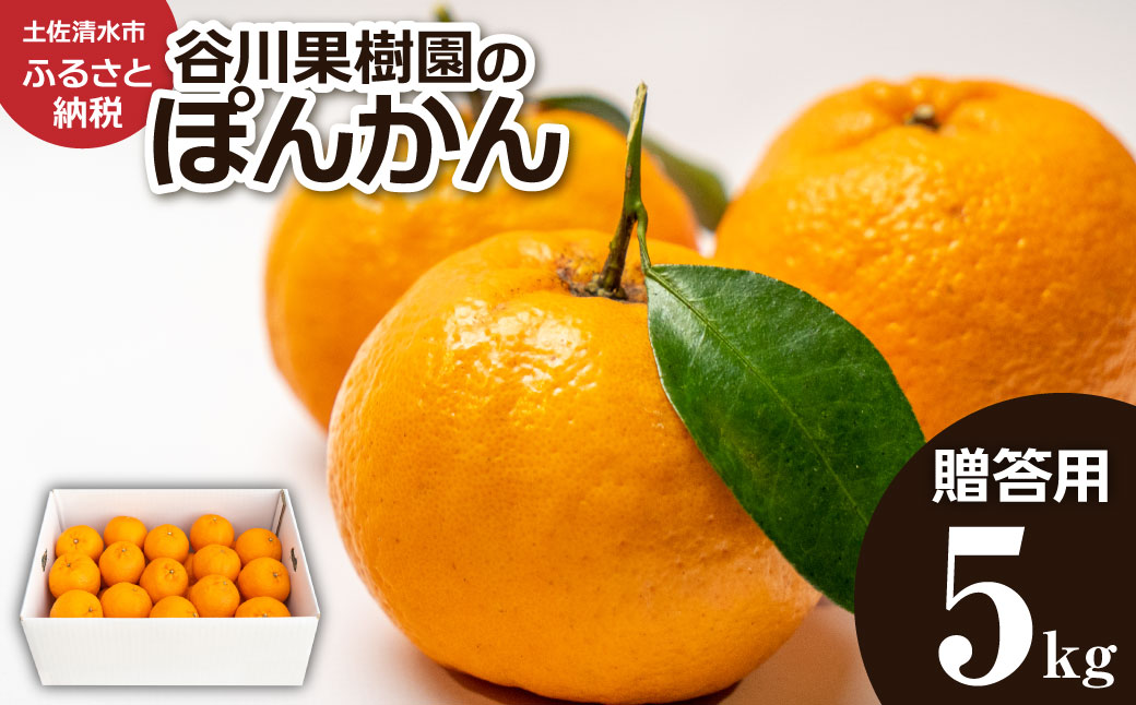 【令和8年発送】ぽんかん5kg（谷川果樹園）デコポンの親  みかん 蜜柑 ミカン 不知火 しらぬい 柑橘 かんきつ ポンカン フルーツ オレンジ 果物 くだもの 果汁 甘い【R01143】