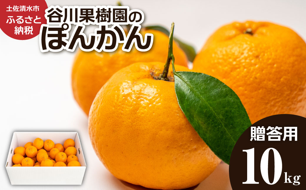 【R8年発送】ぽんかん10kg（谷川果樹園）デコポンの親  みかん 蜜柑 ミカン 不知火 しらぬい 柑橘 かんきつ ポンカン フルーツ オレンジ 果物 くだもの 果汁 甘い【R01144】