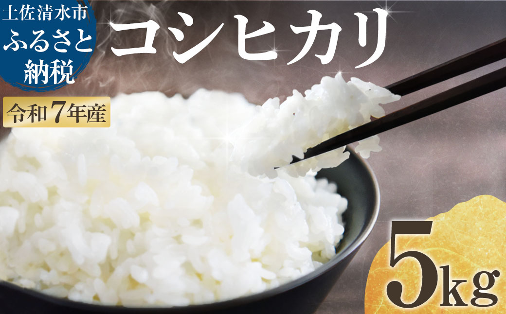 令和7年産 新米 コシヒカリ 精米 5kg 白米 お米 ご飯 ごはん おにぎり 米 こめ こしひかり 高知県産 美味しい おいしい【R01517】