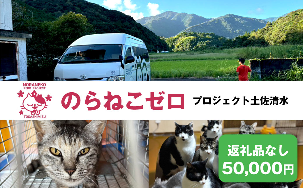 のらねこゼロプロジェクト 一口 50,000円（15,000円分）返礼品なし 保護猫 ネコ 猫 ねこ 動物 保護 愛護 TNR活動応援 支援 寄付 殺処分ゼロ クラウンドファンディング クラファン【R01385】
