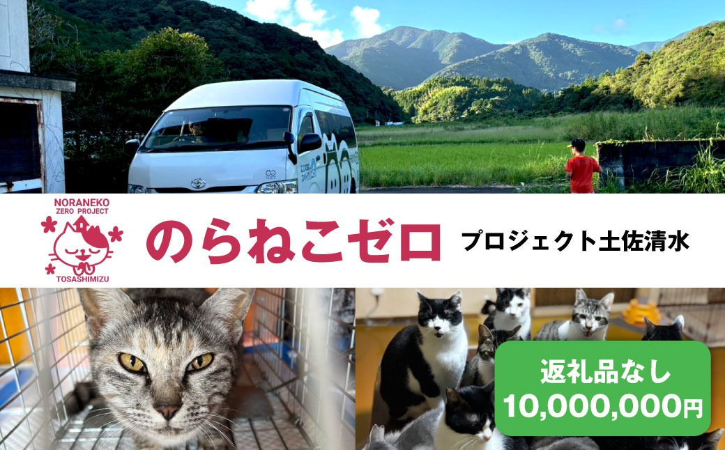 のらねこゼロプロジェクト 一口 10,000,000円（3,000,000円分）返礼品なし 保護猫 ネコ 猫 ねこ 動物 保護 愛護 TNR活動応援 支援 寄付 殺処分ゼロ クラウンドファンディング クラファン【R01388】
