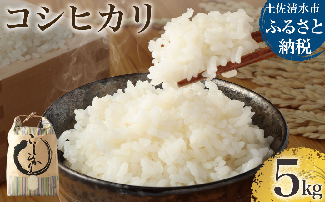 令和７年産 コシヒカリ精米5kg（1袋）白米 お米 ご飯 米 kome こめ コシヒカリ こしひかり 高知県産 5キロ 故郷納税 返礼品 高知 土佐清水市 【R01408】