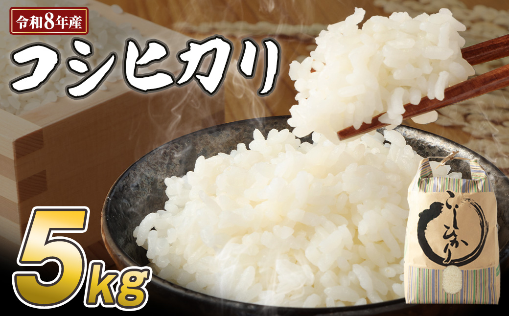 令和8年産 新米 コシヒカリ精米5kg（1袋）白米 お米 ご飯 米 kome こめ