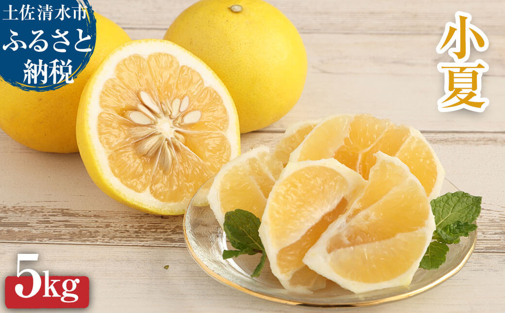 R8発送 先行予約 オレンジ園の小夏５kg 日向夏 みかん 柑橘 フルーツ 果物 こなつ ﾆｭｰｻﾏｰｵﾚﾝｼﾞ 旬 ５キロ 美味しい 食感 スッキリ ギフト 常温 国産 高知県 土佐清水市【R01448】