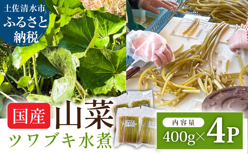 ツワブキ 水煮 400g×4パック 1.6kg 1.6キロ 山菜 下処理済み 野菜 春の食材 煮物 佃煮 料理 石蕗 食品 お取り寄せ 真空 冷凍 配送【R01450】