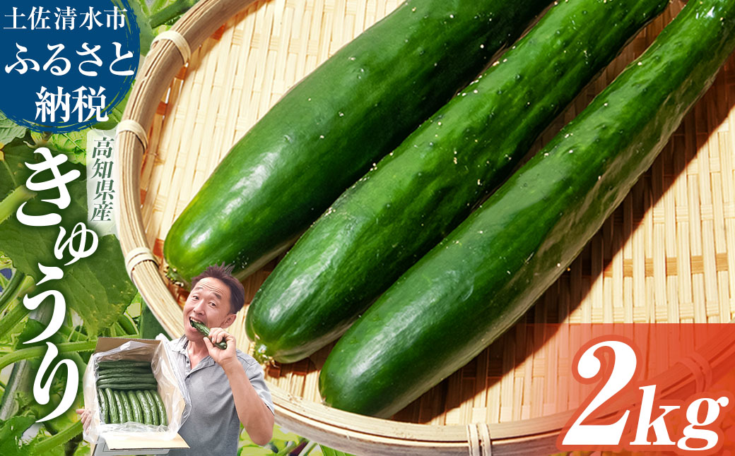 きゅうり 2kg 2キロ キュウリ 野菜 新鮮 サラダ 漬物 浅漬け ぬか漬け 酢の物 炒め物 健康 高知県 土佐清水市【R01451】