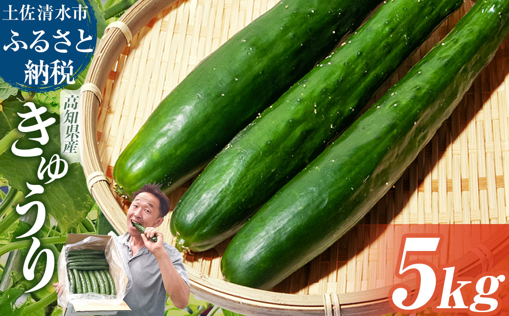 きゅうり 5kg 5キロ キュウリ 野菜 新鮮 サラダ 漬物 浅漬け ぬか漬け 酢の物 炒め物 健康 高知県 土佐清水市【R01452】