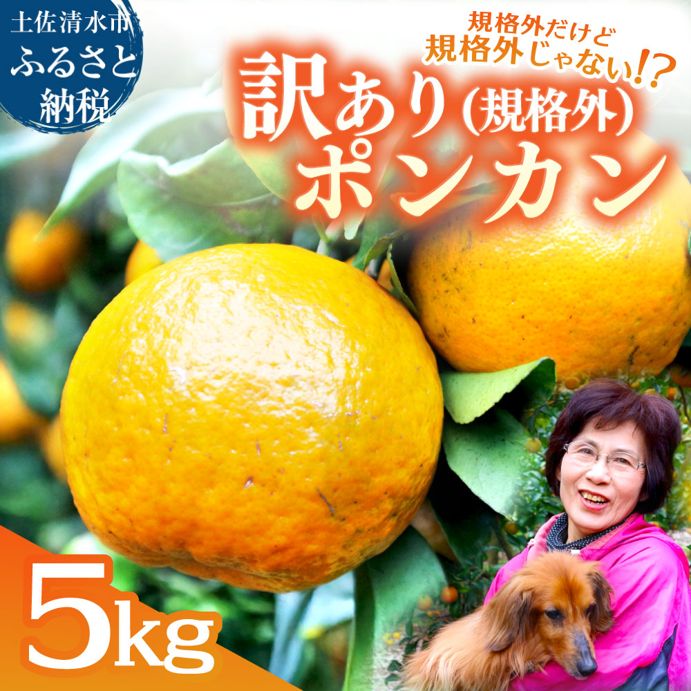 R8.1月下旬発送 規格外だけど規格外じゃない!? 訳あり 足摺ぽんかん 5kg デコポンの親 みかん 柑橘 果物 果実 ミカン ポンカン フルーツ おやつ デザート 5キロ 美味しい 井村農園【R01485】