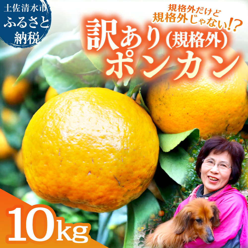 R8.1月下旬発送 規格外だけど規格外じゃない!? 訳あり 足摺ぽんかん 10kg デコポンの親 みかん 柑橘 果物 果実 ミカン ポンカン フルーツ おやつ デザート 5キロ 美味しい 井村農園【R01486】