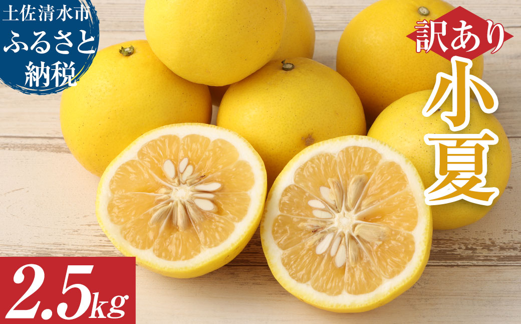 【先行予約】R8発送＜訳あり＞オレンジ園の小夏2.5kg 日向夏 みかん 柑橘 フルーツ 果物 こなつ ﾆｭｰｻﾏｰｵﾚﾝｼﾞ  旬 2.5キロ 美味しい 食感 常温 国産 訳あり 高知県 土佐清水市【R01499】