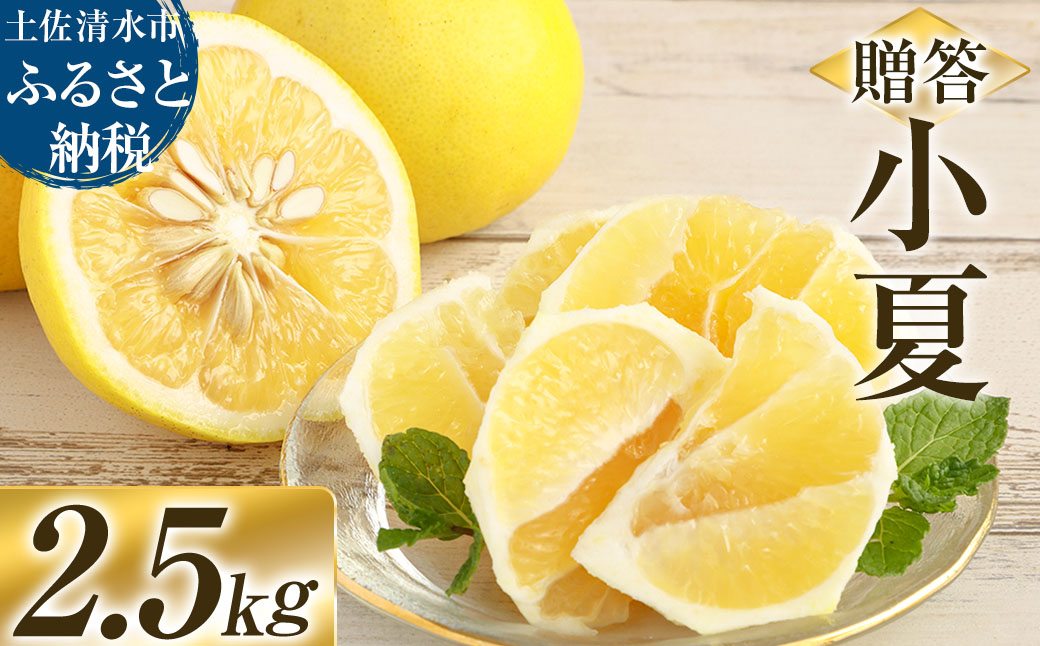 R8発送 先行予約 オレンジ園の小夏2.5kg 日向夏 みかん 柑橘 フルーツ 果物 こなつ ﾆｭｰｻﾏｰｵﾚﾝｼﾞ 旬 2.5キロ 美味しい 食感 スッキリ ギフト 常温 国産 高知県 土佐清水市【R01500】