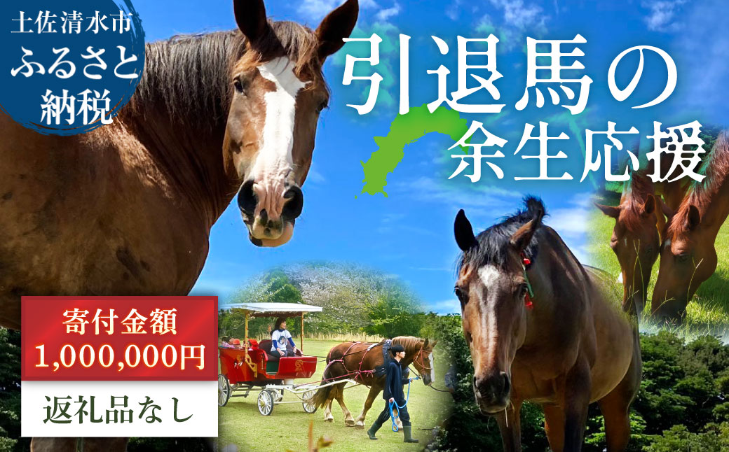 引退馬 余生支援 1,000,000円コース 返礼品なし 養老馬 競走馬 引退競走馬 馬支援 競馬 馬 うま ウマ 馬支援 動物 あしずりダディー牧場 高知県 土佐清水市【R01533】