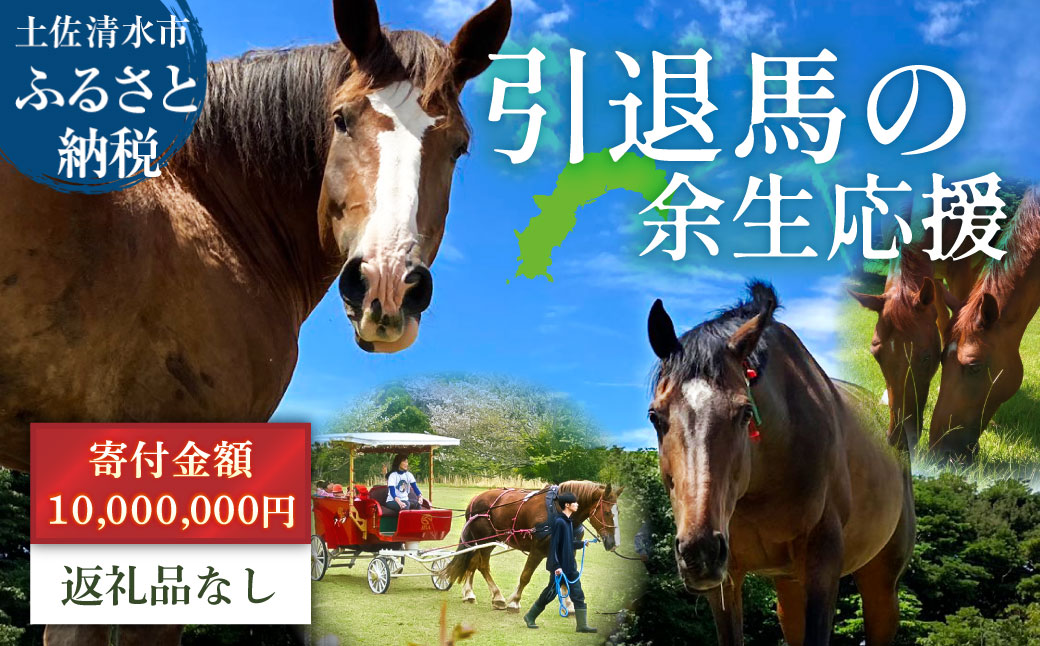 引退馬 余生支援 10,000,000円コース 返礼品なし 養老馬 競走馬 引退競走馬 馬支援 競馬 馬 うま ウマ 馬支援 動物 あしずりダディー牧場 高知県 土佐清水市【R01534】
