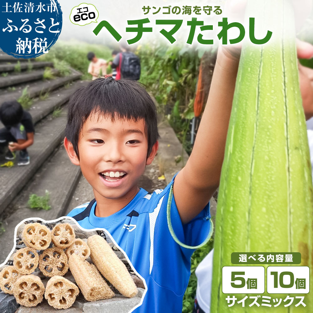 サンゴの海を守る エコ ヘチマたわし サイズミックス 10個セット スポンジ お風呂 掃除 ボディ キッチンスポンジ 台所 掃除スポンジ 入浴 スキンケア 束子 タワシ へちま【R01564】