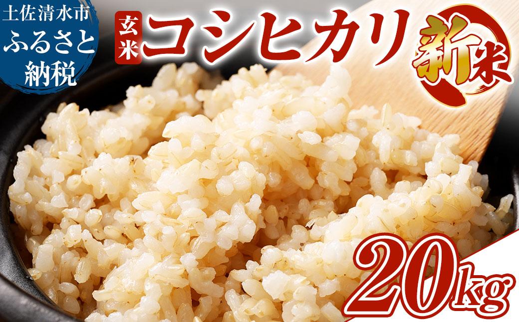 令和8年産 新米 コシヒカリ 玄米20kg（10kg×2袋）令和8年8月発送予定