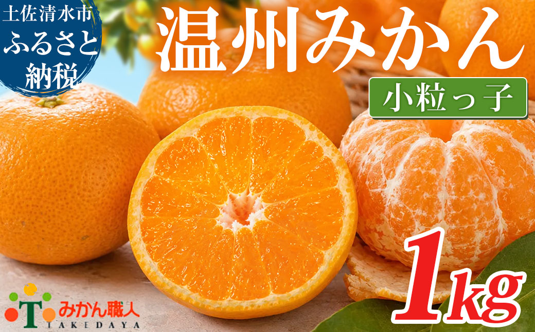 温州みかん 小粒っ子 1kg 傷み補償 300g 柑橘 果物 フルーツ 不揃い オレンジ 訳アリ 蜜柑 果実 みかん 極早生 早生 晩生 光センサー選果 みかん職人武田屋 高知県 土佐清水市【R01789】