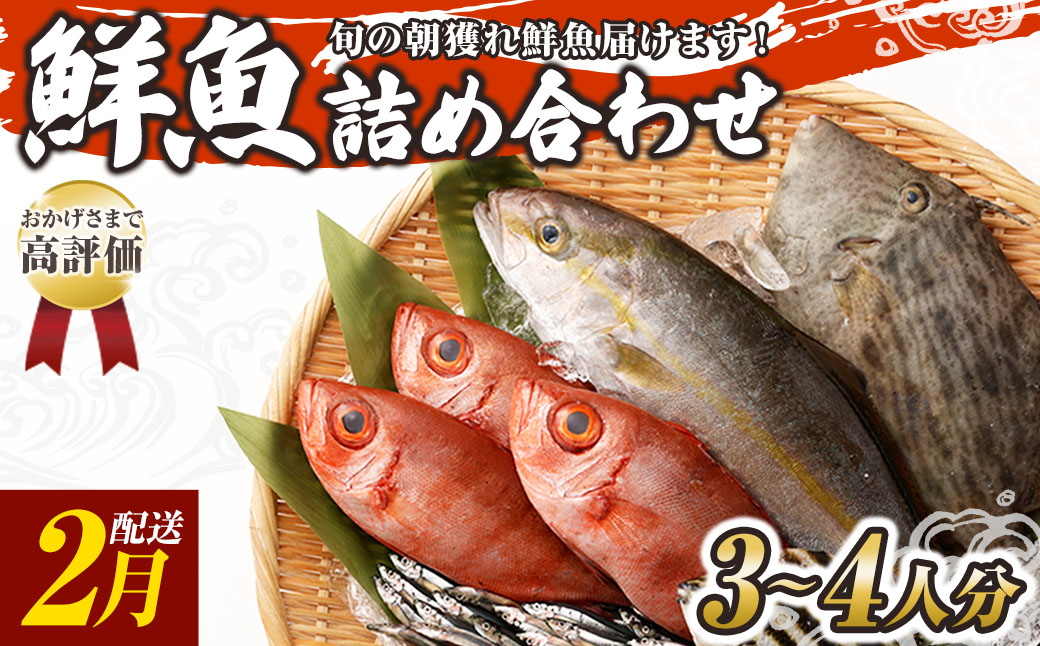 旬の朝獲れ鮮魚詰め合わせ 【2026年2月配送】【以布利定置網　漁師直送】朝獲れ 旬 鮮魚 魚介 海鮮 魚 さかな せんぎょ 鮮魚セット 詰め合わせ おまかせ お任せ【S00818-2】