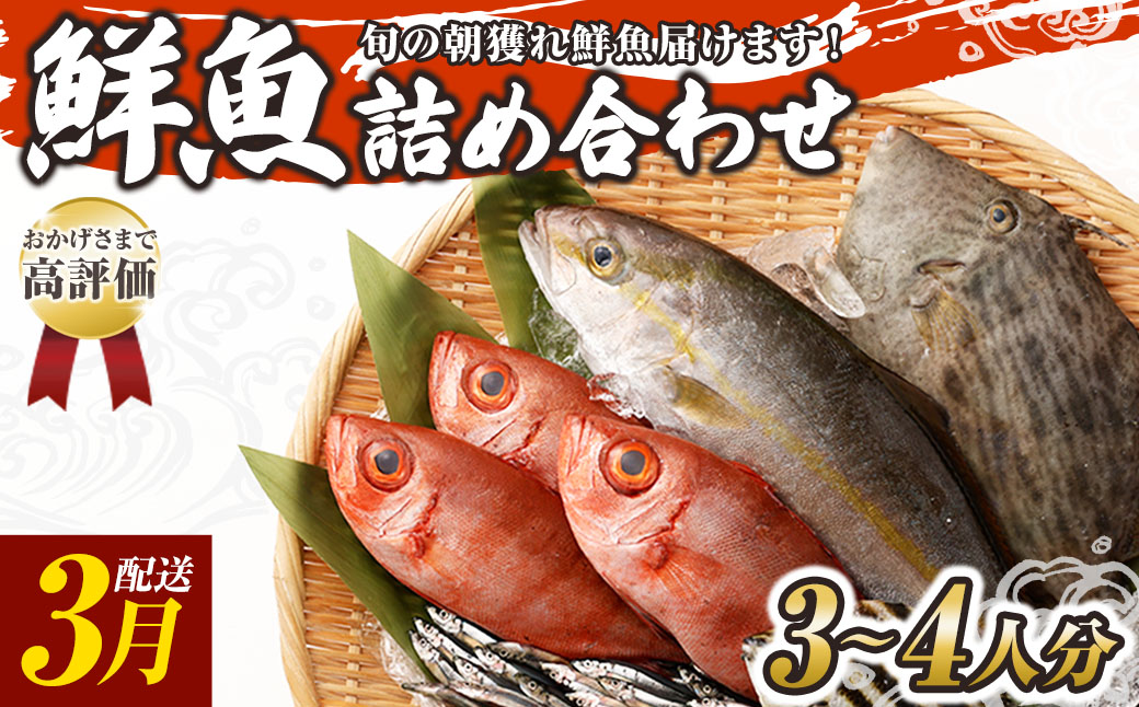 旬の朝獲れ鮮魚詰め合わせ 【2026年3月配送】【以布利定置網　漁師直送】朝獲れ 旬 鮮魚 魚介 海鮮 魚 さかな せんぎょ 鮮魚セット 詰め合わせ おまかせ お任せ【S00818-3】