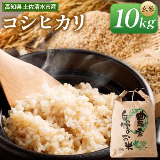 令和6年産新米[先行予約]コシヒカリ玄米(10kg)健康食品 お米 高知県土佐清水市産[R00332]