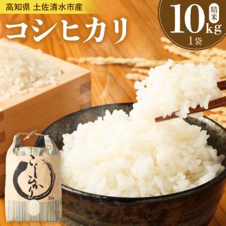 令和5年産 コシヒカリ精米10kg(1袋)白米 お米 ご飯[R00355]