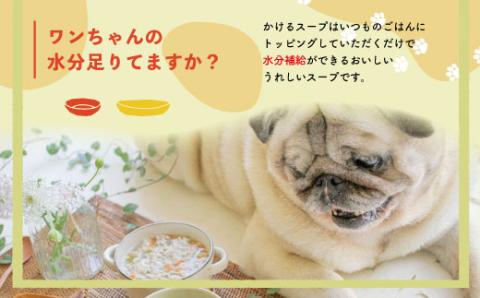 【3回定期便】いつものごはんにかけるだけ！四万十鶏とゴロゴロ根野菜のスープ 12袋セット×3回配送（合計36袋）【ペットフード】R6-433