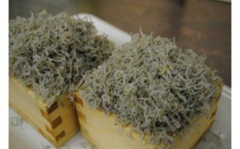 【6回定期便】老舗海産物店の土佐黒潮こだわりちりめんじゃこ560g【2ヶ月に１回お届け】（計3.36kg）R6-752