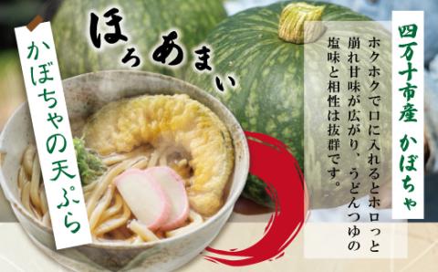 【6回定期便】麦屋のお店の天ぷらがご自宅で楽しめる♪麦屋の四万十うどんと天ぷらセット（合計48食）R6-218