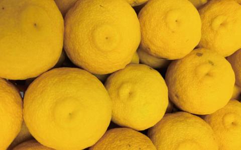 【早期受付・期間限定】 四万十産　爽やか柚子（贈答用）約1.5kg（9個～12個）【2023年12月中旬～2024年2月下旬発送】