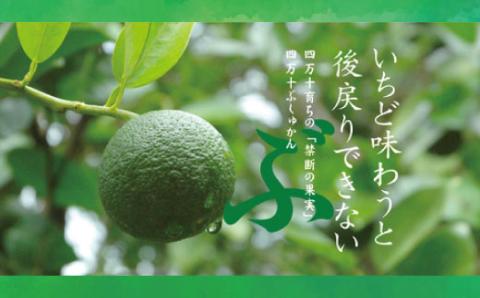 ひんやりスッキリ爽やか！四万十市産のぶしゅかんを使った四万十ぶしゅかんアイスキャンデー（20本入り）R5-444