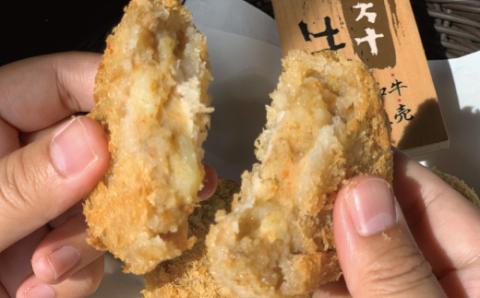 四万十牛100％！四万十牛コロッケ 15個入り（5個×3パック）R5-016