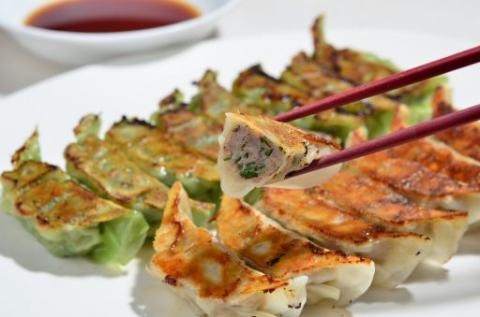 家(うち)に来る“高知” ジューシーな具をぎっしり詰めた手づくり!!　四万十ひすい餃子・一本釣りかつお餃子（8ヶ×2パック×2種）　タレ付き　にんにく不使用！R5-013