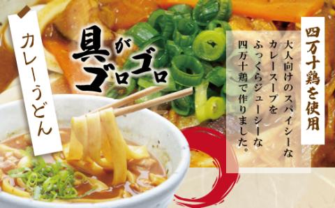四万十鶏がゴロゴロ入った極太カレーうどん５食入り R5-185