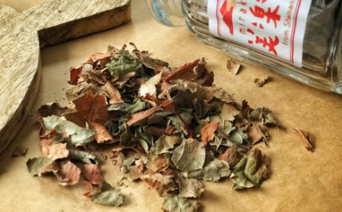 【数量限定】すっきり爽やか！四万十茶葉セット(イタドリ茶・桑茶）R5-814