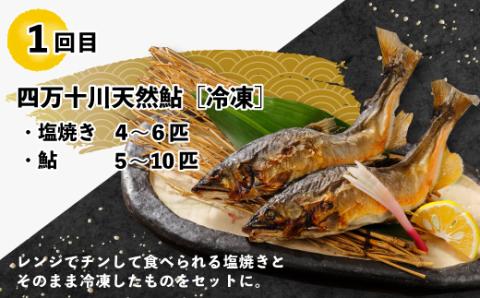 【3回定期便】うなぎ・四万十牛・あゆ！ごちそう定期便10万円コース【第2弾】