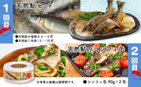 【4回定期便】鮎づくし！清流四万十川で育った天然鮎の定期便 R6-851