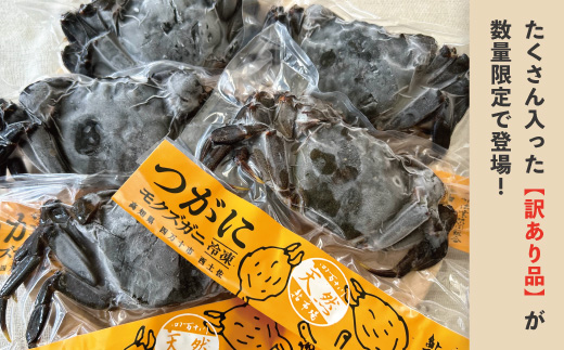 【 訳あり 数量限定 】 天然 ツガニ 約 1kg （8～12匹） 訳アリ 訳あり品 濃厚 うまみ 魚介 蟹 かに カニ つがに モクズガニ もくずがに 人気 お取り寄せ だし 味噌汁 四万十川 グルメ 高知県 高知 四万十市 四万十 しまんと
