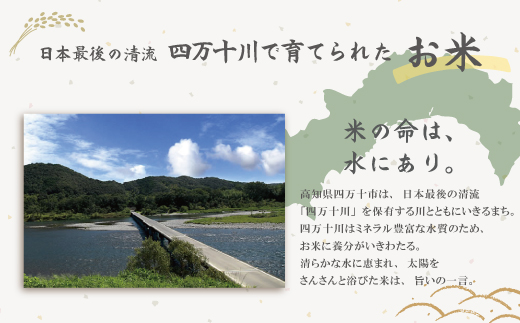 令和7年産 3回 定期便 おいしい・あんしん・しまんとのお米 しまんと 農法米 コシヒカリ 10kg （5kg×2袋）×3回（計30kg） こしひかり 2025年 精米 白米 米 おこめ コメ ご飯 ごはん 高知 四万十 しまんと R7 【3回定期便】10㎏（5kg×2袋）×3回 合計30㎏