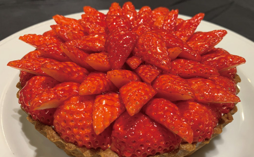 数量限定 期間限定 イチゴ たっぷり！イチゴの レアチーズ タルト 冷凍 フルーツ 果物 いちご 苺 チーズケーキ ケーキ 焼菓子 洋菓子 菓子 デザート スイーツ 高知 四万十 しまんと 限定【2026年1月中旬～4月下旬配送】