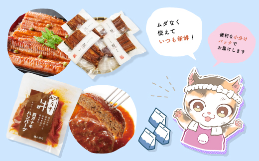 【 3回 お届け 】 便利 でうれしい！ 小分け 定期便 毎月届く 小分けパック ストック 保存食 冷凍 冷凍食品 惣菜 おかず パン 冷凍パン 生食パン うなぎ ウナギ 鰻 ハンバーグ お弁当 弁当 ごちそう 高知 四万十市 四万十 しまんと 3回配送