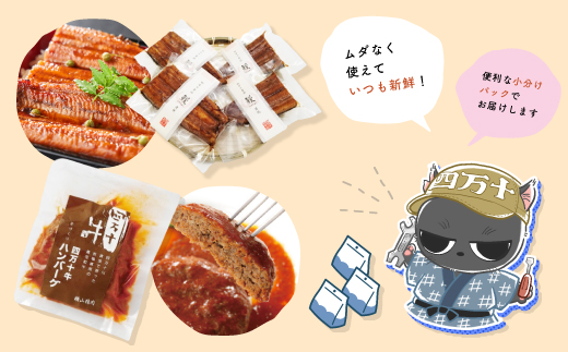 【 5回 お届け 】 便利 でうれしい！ 小分け 定期便 毎月届く 小分けパック ストック 保存食 冷凍 冷凍食品 惣菜 おかず パン ベーグル うなぎ 鰻 かつお 鰹 ハンバーグ お弁当 弁当 ごちそう 高知 四万十市 四万十 しまんと 5回配送