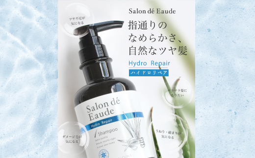 6回 定期便 サロン・ド・オーデ ハイドロリペア シャンプー ＆ トリートメント つめかえ用 各 440ml 2本 セット 合計 6本 ダメージ補修 液体 アロインス製薬 美容 美容品 化粧品 日用品 消耗品 高知 高知県 四万十 四万十市 しまんと 6回配送（合計12個）