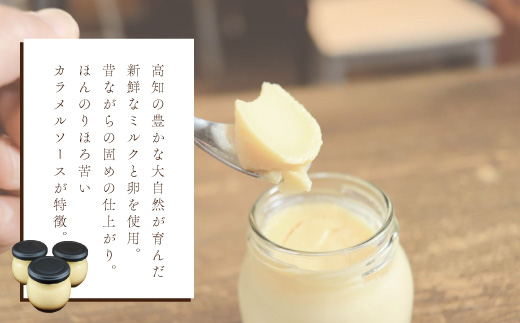 ほろ苦カラメル 贅沢 濃厚 大人 の カスタードプリン 瓶詰め 4個 昔ながらのプリン 手作り 濃厚プリン なめらかプリン ふるさと納税プリン スイーツ デザート お菓子 洋菓子 冷凍スイーツ 固めプリン 高知 四万十 しまんと